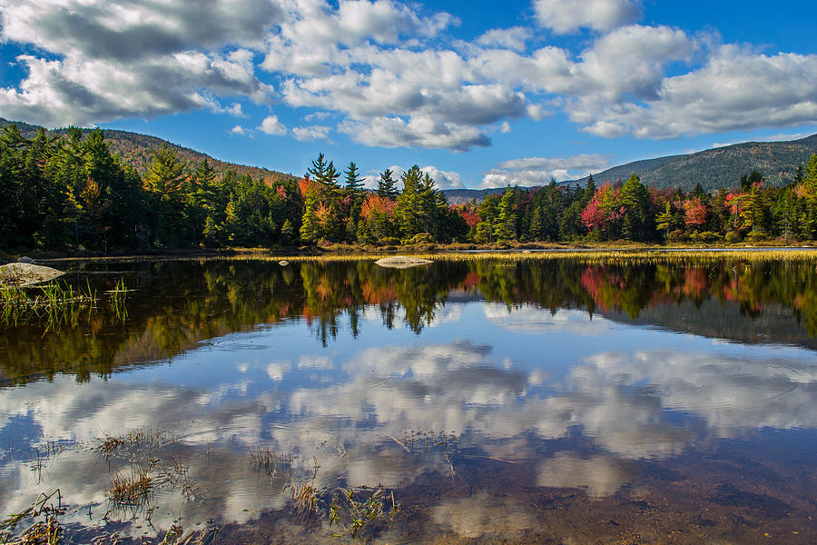 Fall Photograph - Lily Pond on Kancamagus highway - New Hampshire by Jatin Thakkar