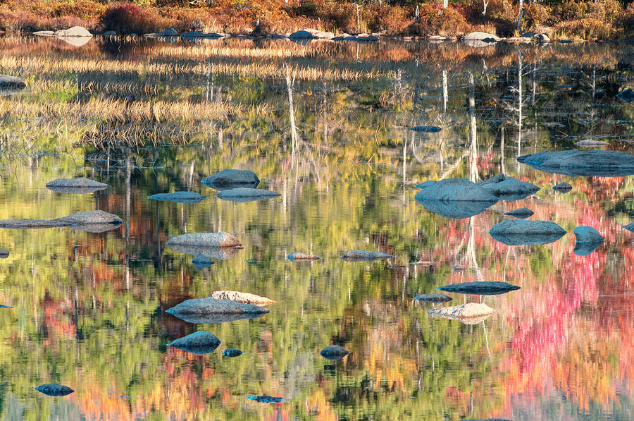 Lily Pond Reflections-White Mountains NH Photograph by TS Photo