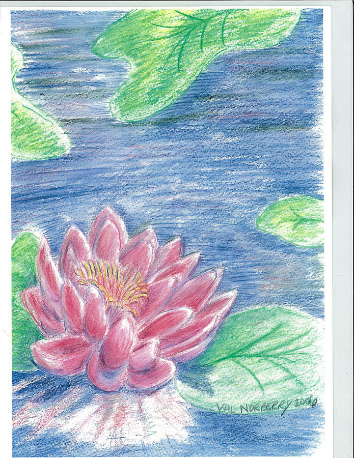 Lily pond Drawing by Valerie VanOrden Pixels