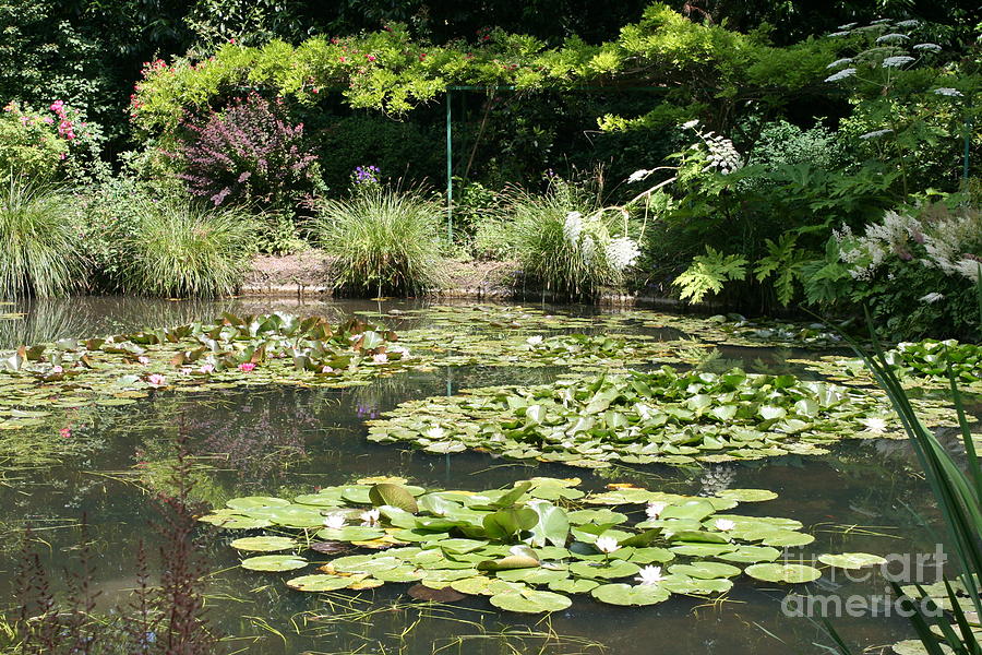 Claude Monet Photograph - Lily Pond View Monets Garden by Christiane Schulze Art And Photography