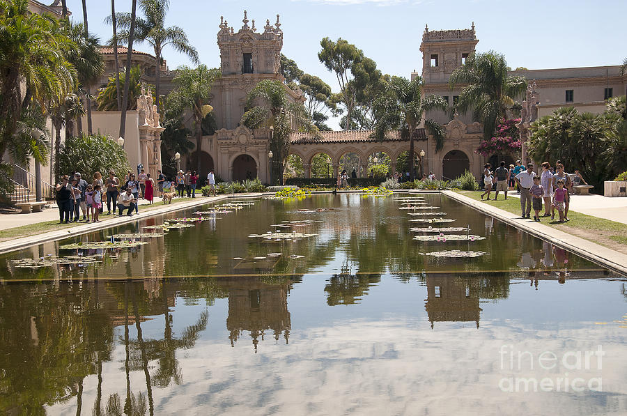 Lily Pool in Balboa Park Photograph by Brenda Kean