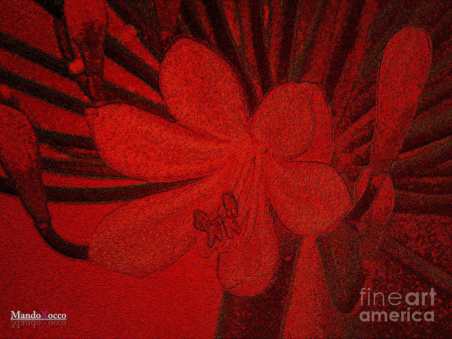 Lily red Digital Art by Mando Xocco