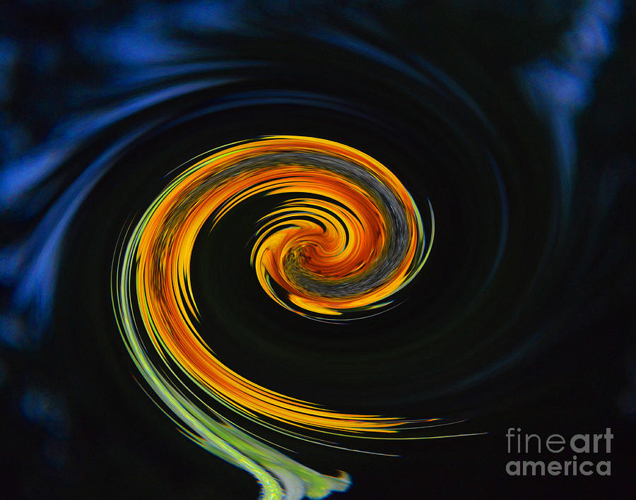 Flower Photograph - Lily Twirl by Tina M Wenger