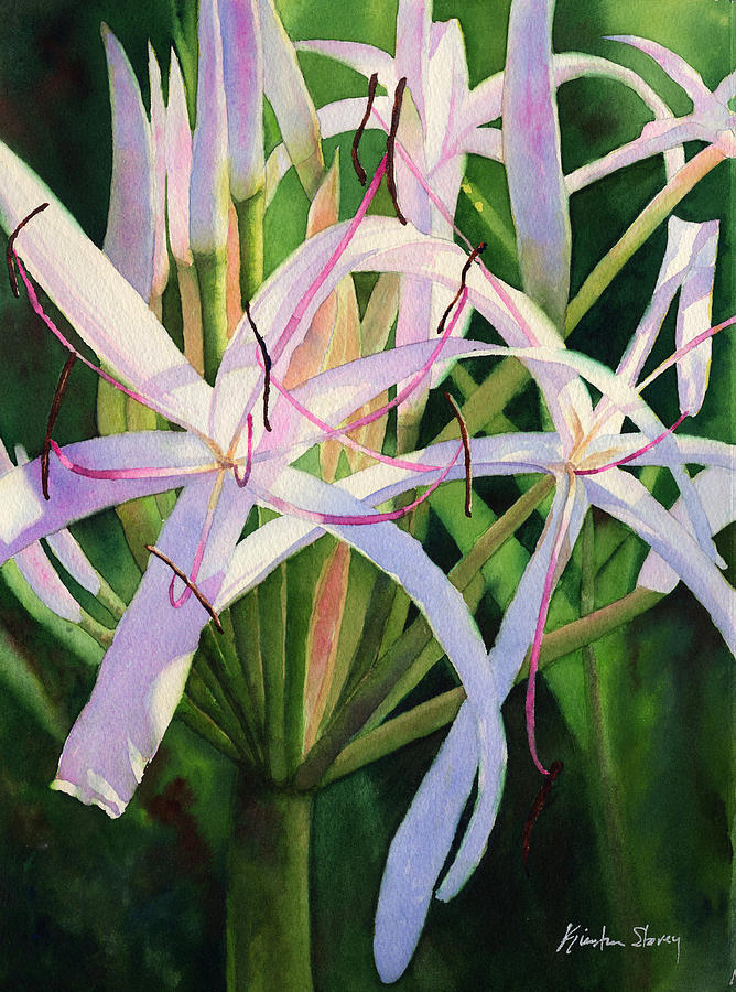 Lily Whites Painting by Kristina Storey