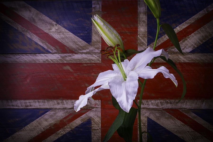 Flower Photograph - Lily With British Flag by Garry Gay