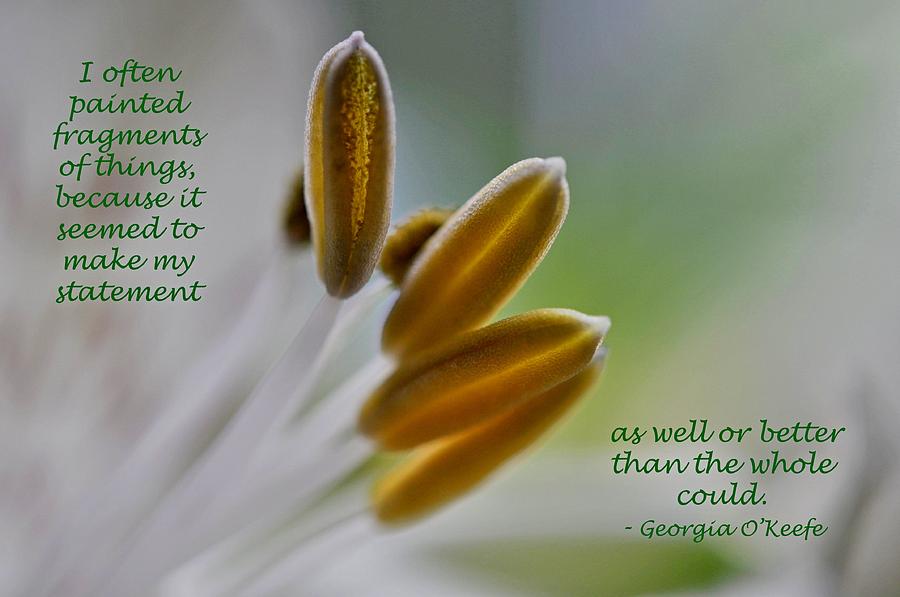 Lily with OKeefe Quote Photograph by Phyllis Meinke
