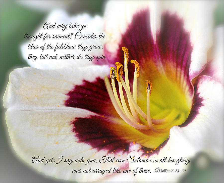 Botanical Photograph - Lily with scripture by Debbie Nobile