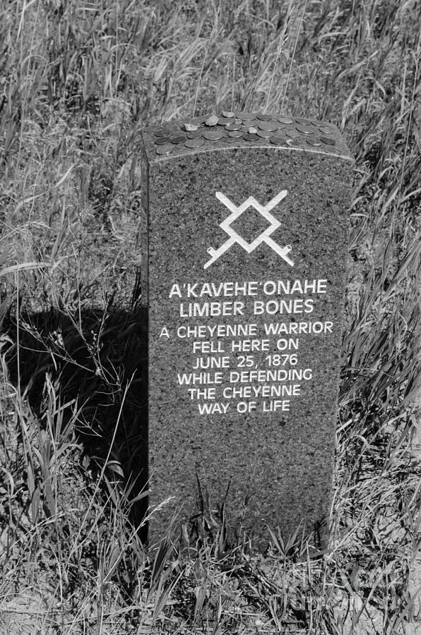Limber Bones- A Cheyenne Warrior- Fell Here  Photograph by Debra Martz