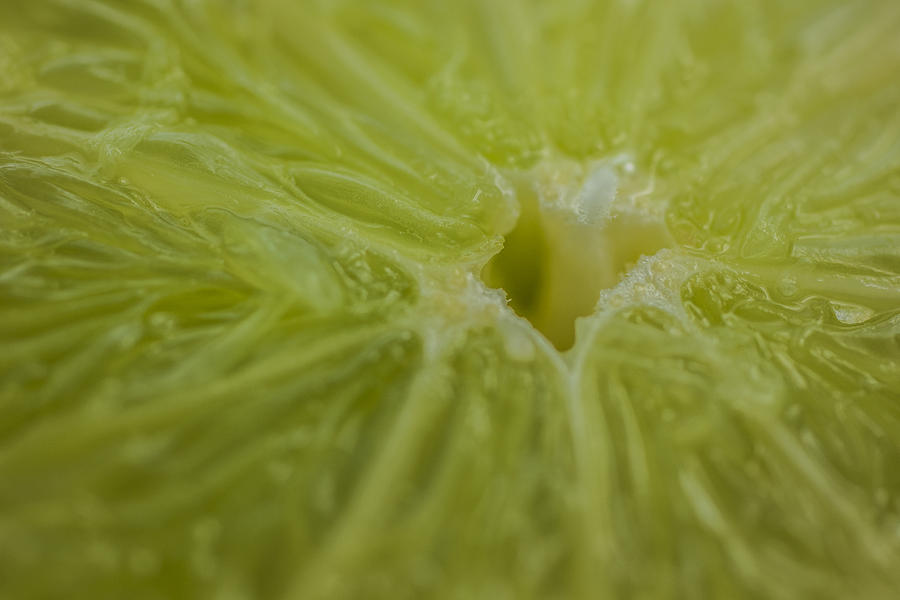 Lime Food Macro Photograph by David Haskett II