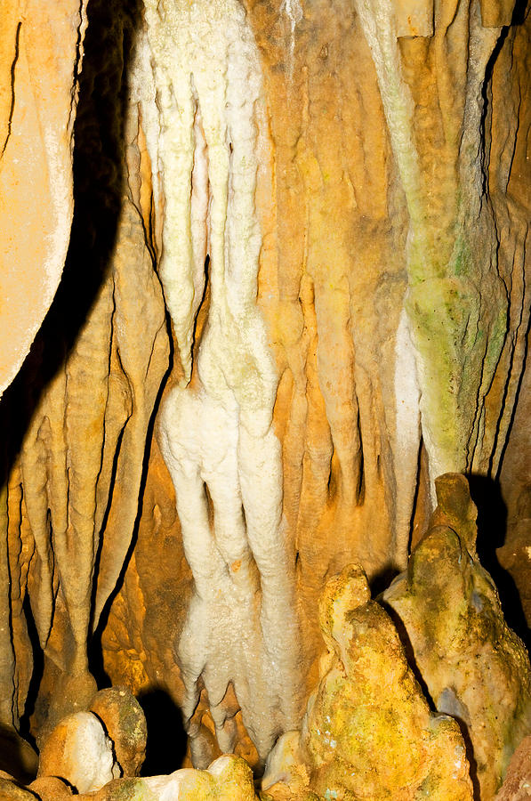 Limestone Cascades In Florida Caverns Photograph by Millard H. Sharp