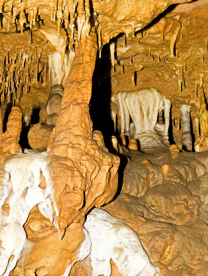 Limestone Column In Florida Caverns Photograph by Millard H. Sharp