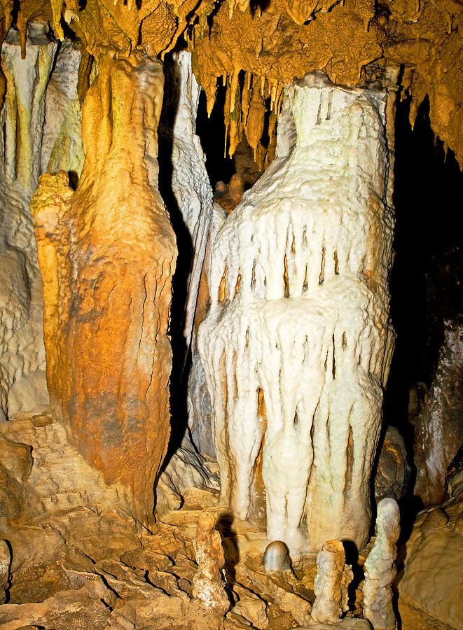 Limestone Columns In Florida Caverns Photograph by Millard H. Sharp