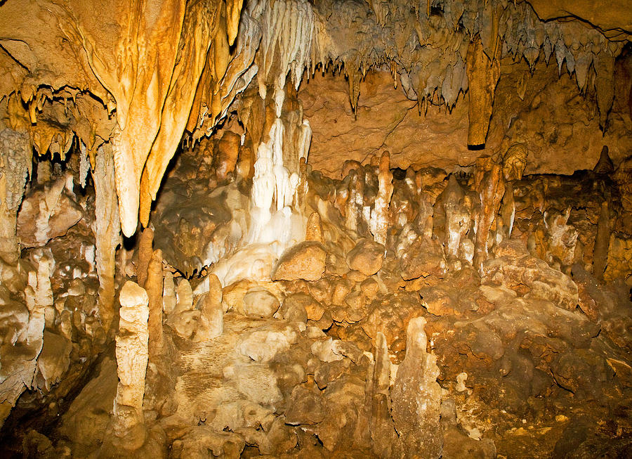 Limestone Formations In Florida Caverns Photograph by Millard H. Sharp