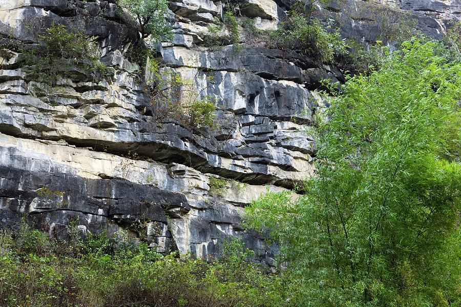 Nature Photograph - Limestone Karst Formation by Tim Lester/science Photo Library