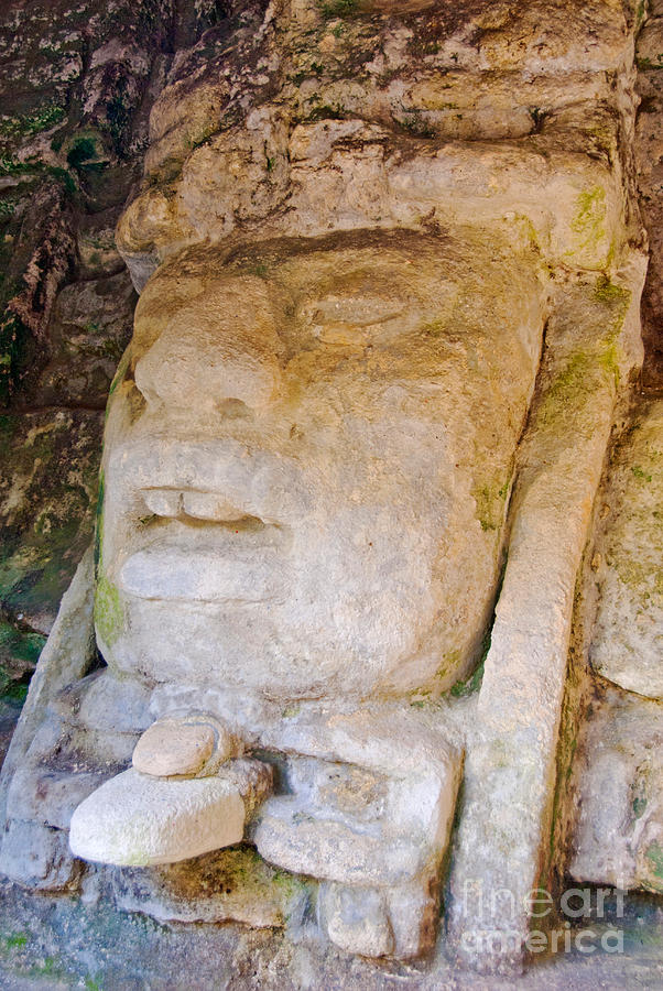 Limestone Mask, Belize Photograph by Richard and Ellen Thane
