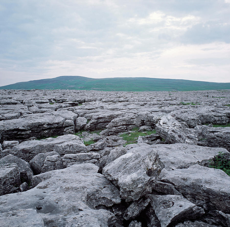 Limestone Photograph - Limestone Pavement by Robert Brook/science Photo Library