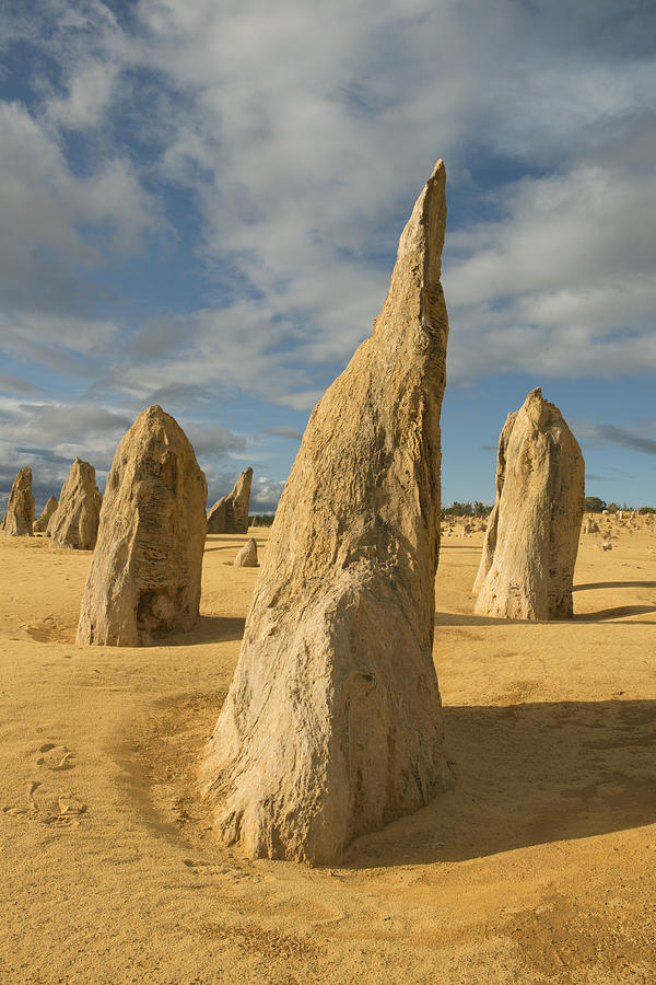 Limestone Pinnacles Nambung Australia Photograph by Kevin Schafer