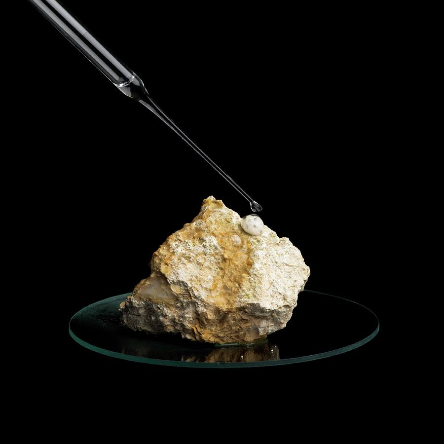Limestone Photograph - Limestone Reacting With Acid by Science Photo Library