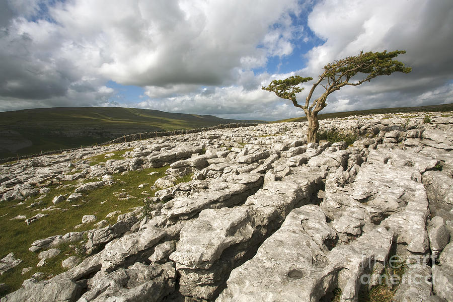 Landscape Photograph - Limestone sky by Neil Burton