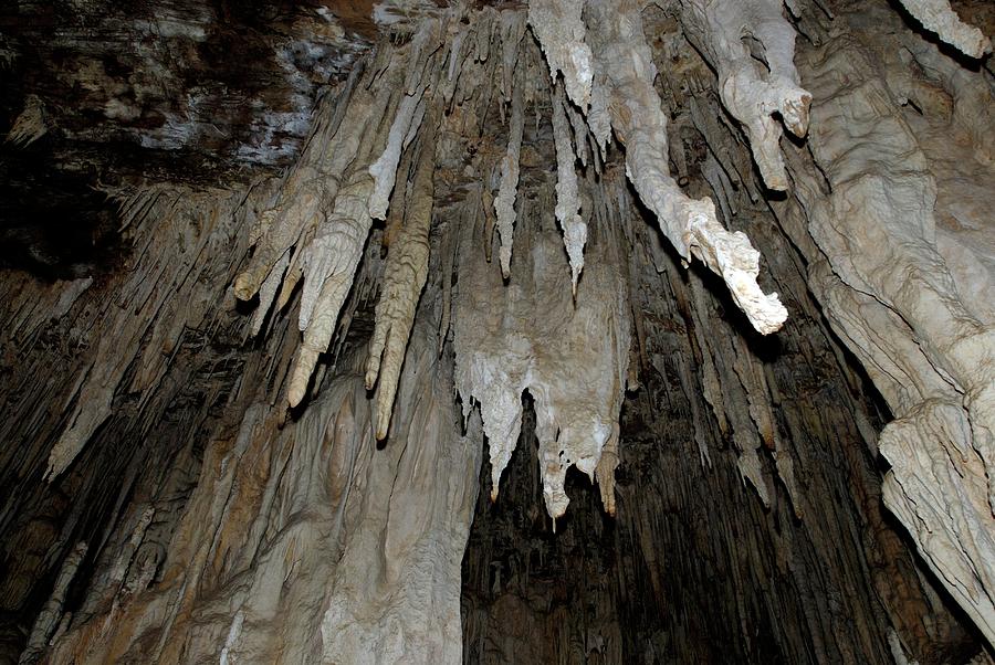 Stalite Rocks Limestone Stalactites by Peter Chadwick / Science Photo Library
