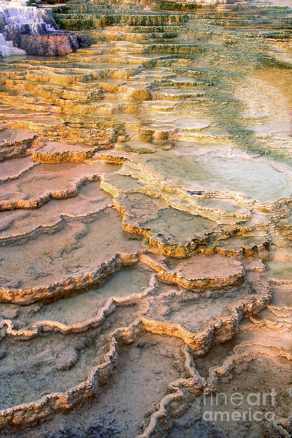 Limestone Terraces Yellowstone National Park Photograph by Dave Welling