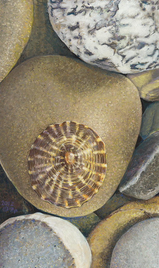 Limpet Shell Painting by Nick Payne
