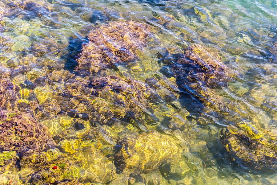 Summer Photograph - Limpid Waters 1 by Javier Luces