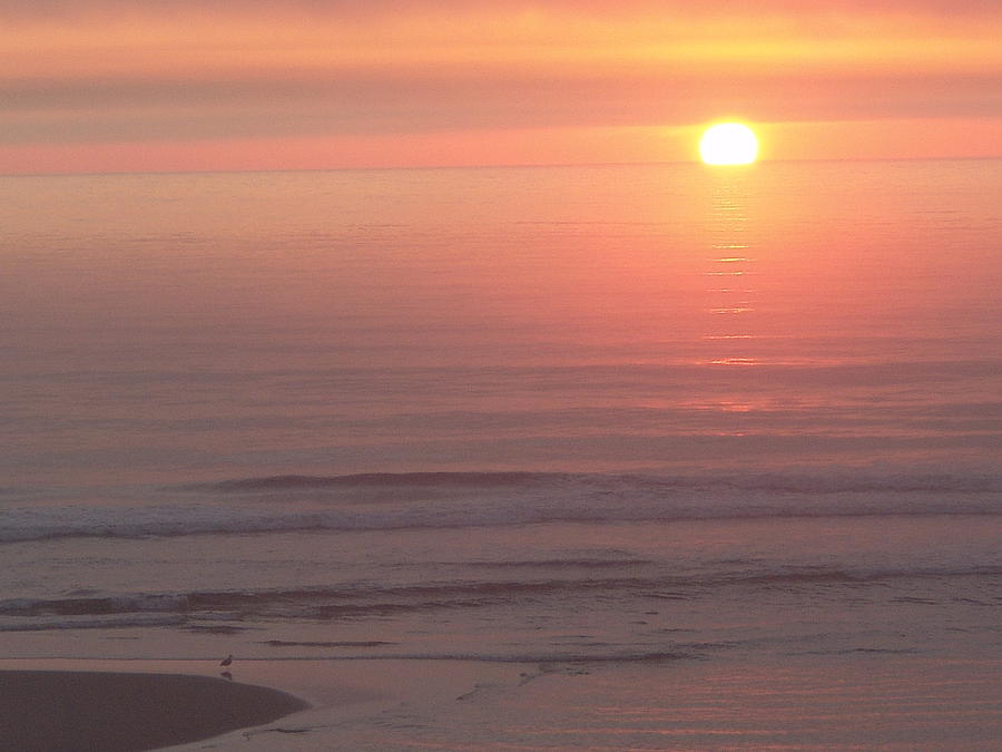 Sunset Photograph - Lincoln City Sunset by Tanya McKean