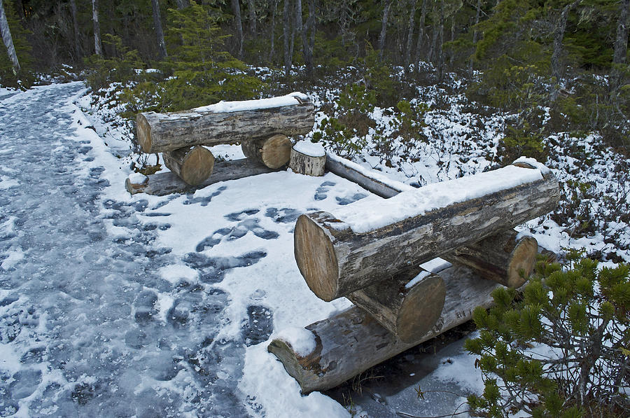 Lincoln Log Benches Photograph by Cathy Mahnke