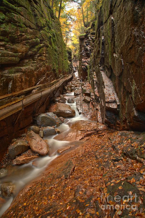 Lincoln New Hampshire Flume Gorge Photograph by Adam Jewell