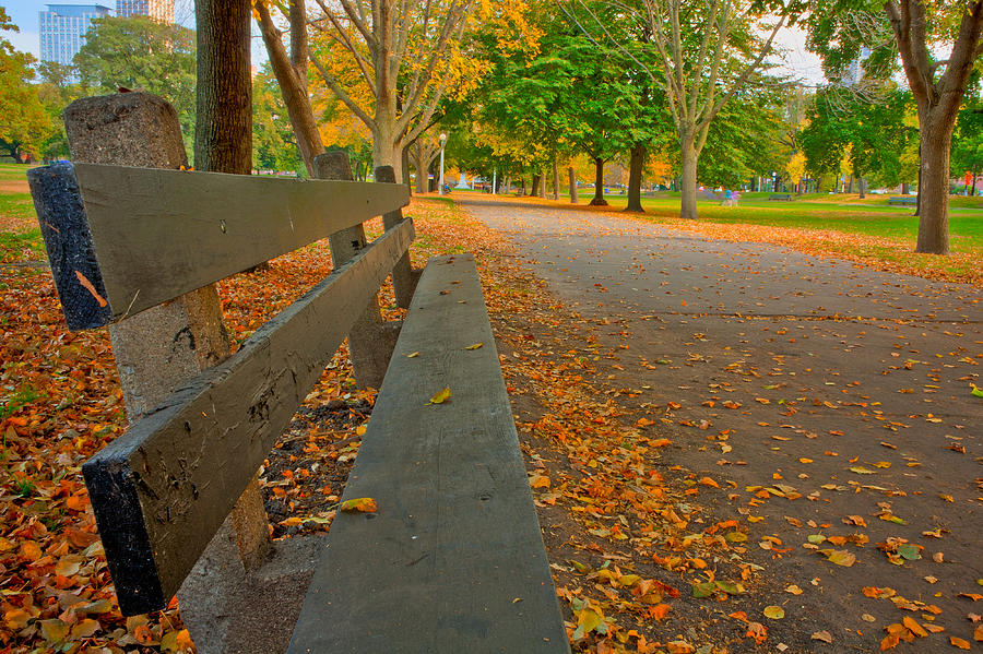 Lincoln Park Bench in Fall Photograph by Anthony Doudt