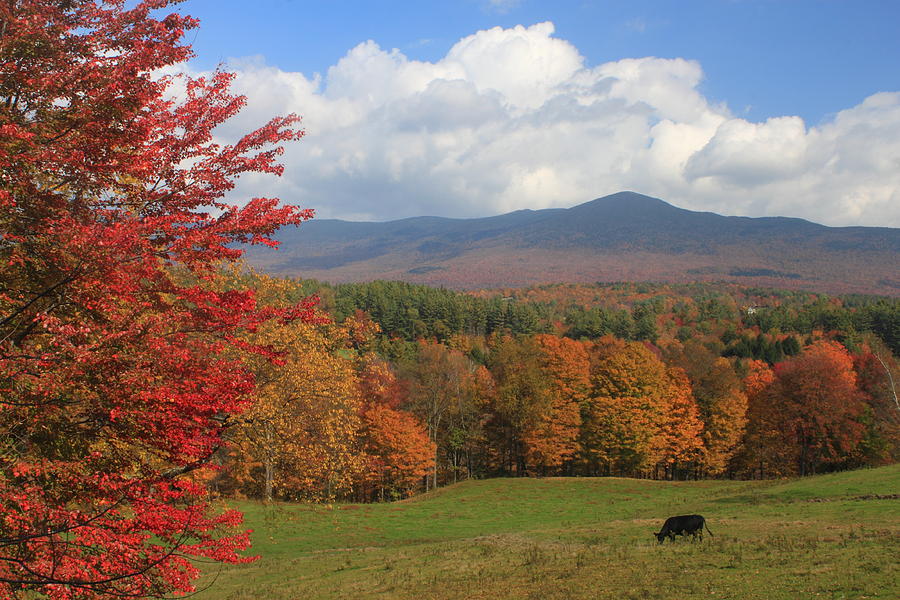 Canvas Lincoln Tech >> Lincoln Vermont Autumn Scene Photograph by John Burk Canvas Lincoln Tech >> Lincoln Vermont Autumn Scene Photograph by John Burk