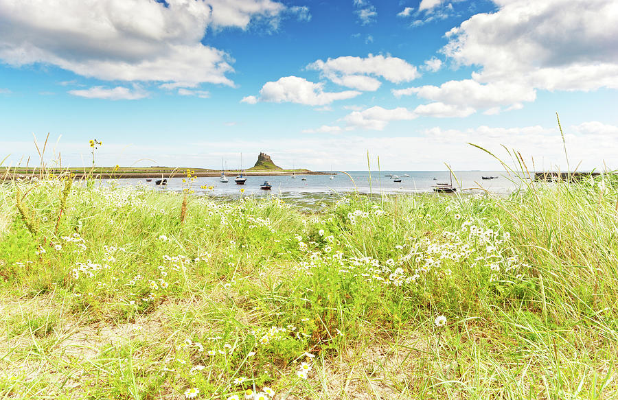 Lindisfarne Photograph by Alphotographic
