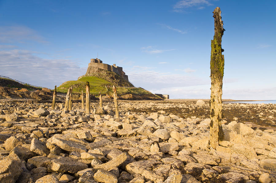 Lindisfarne Castle And Stakes Photograph