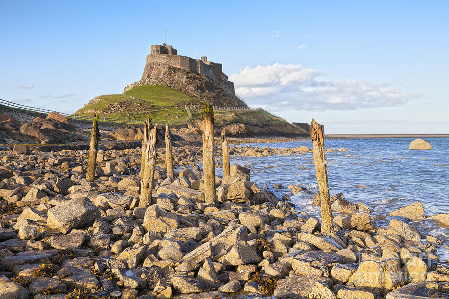 Lindisfarne Castle Holy Island Northumberland Photograph by Colin and Linda McKie