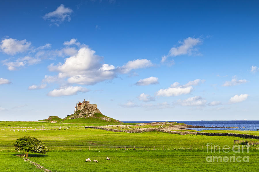 Lindisfarne Castle Northumberland England Photograph by Colin and Linda McKie