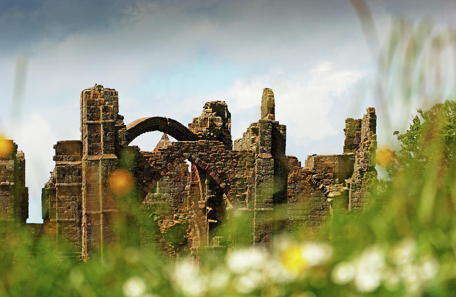 Lindisfarne Priory Photograph by Alphotographic