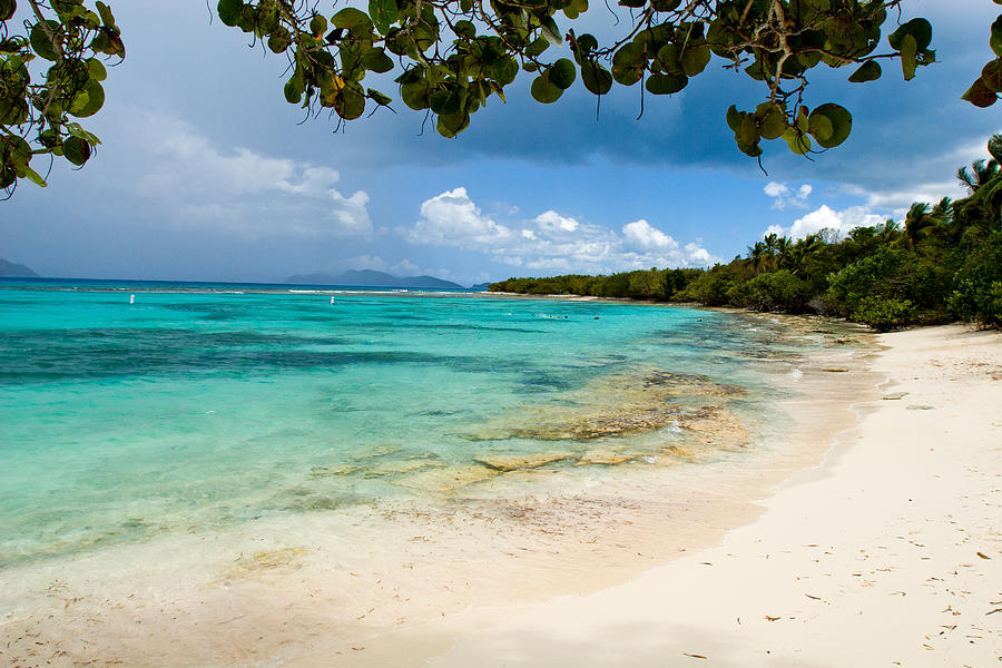 Lindquist Beach Photograph by Lisa Chorny