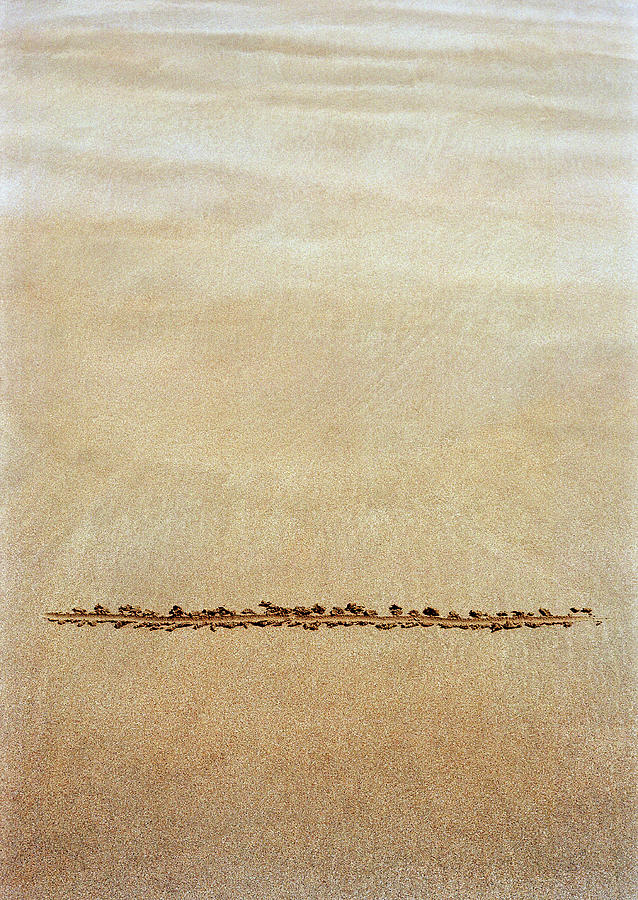 Line Drawn In Sand Photograph by David Parker/science Photo Library