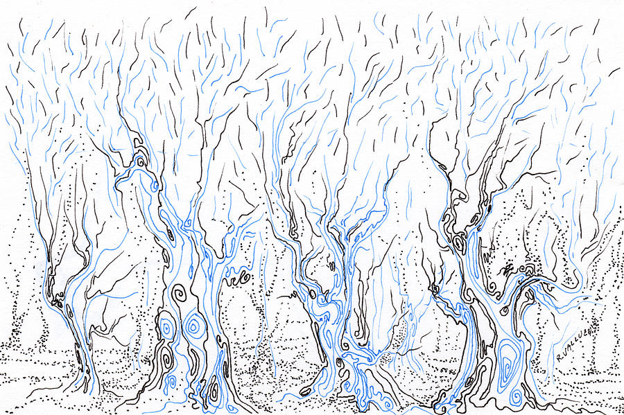Line Forest Drawing by Regina Valluzzi