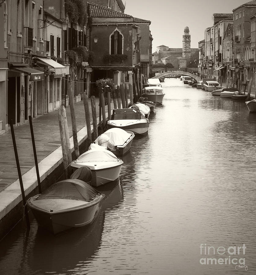 Line of Boats in Sepia Photograph by Prints of Italy