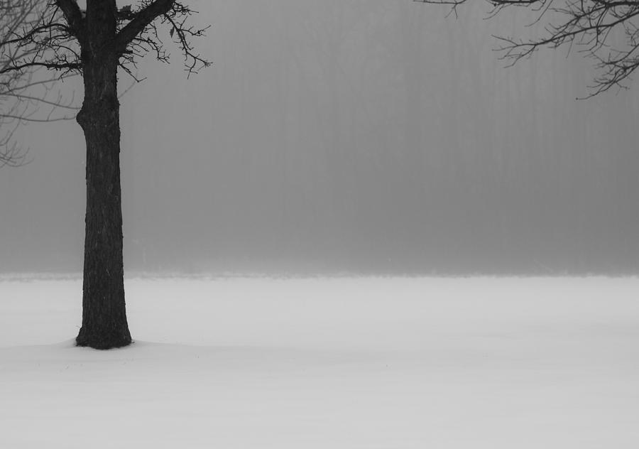 Line of Fog  BW Photograph by Rachel Cohen