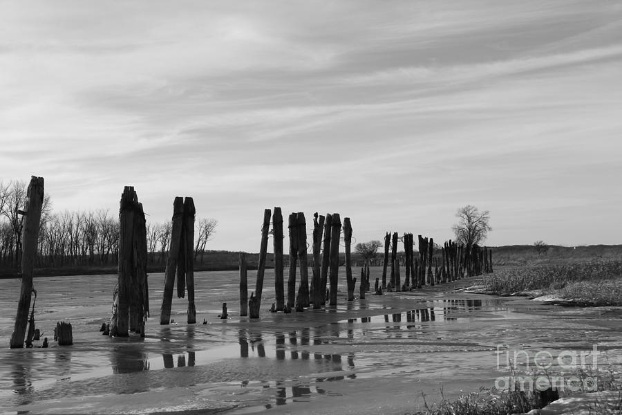 Line of river pilings Photograph by Yumi Johnson