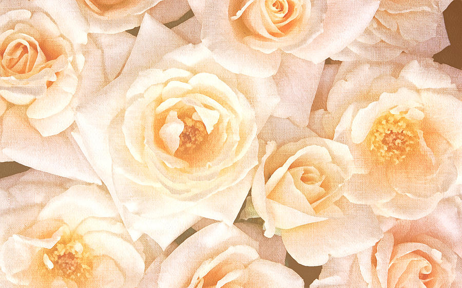 Rose Digital Art - Linen Roses by Georgiana Romanovna
