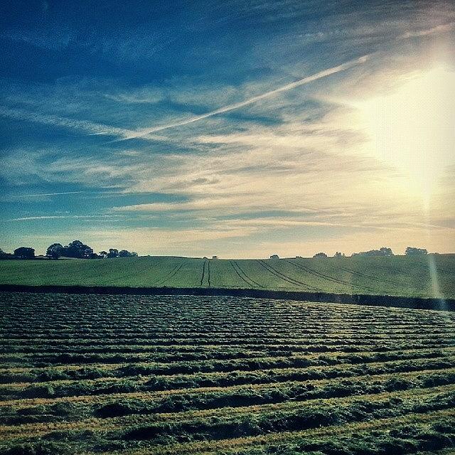 Summer Photograph - #lines ... #fields  #countryside by Linandara Linandara