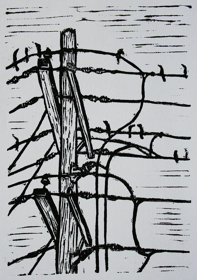Bird Drawing - Lines and Birds by William Cauthern