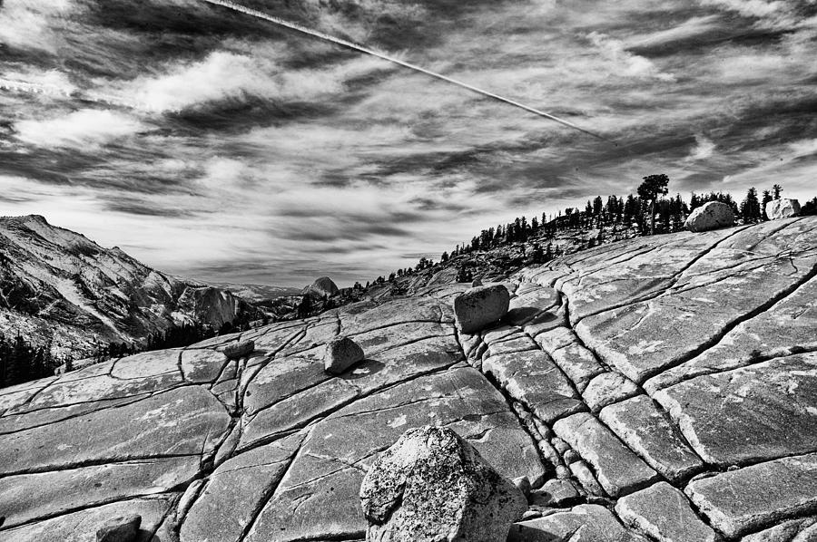 Yosemite National Park Photograph - Lines by Cat Connor