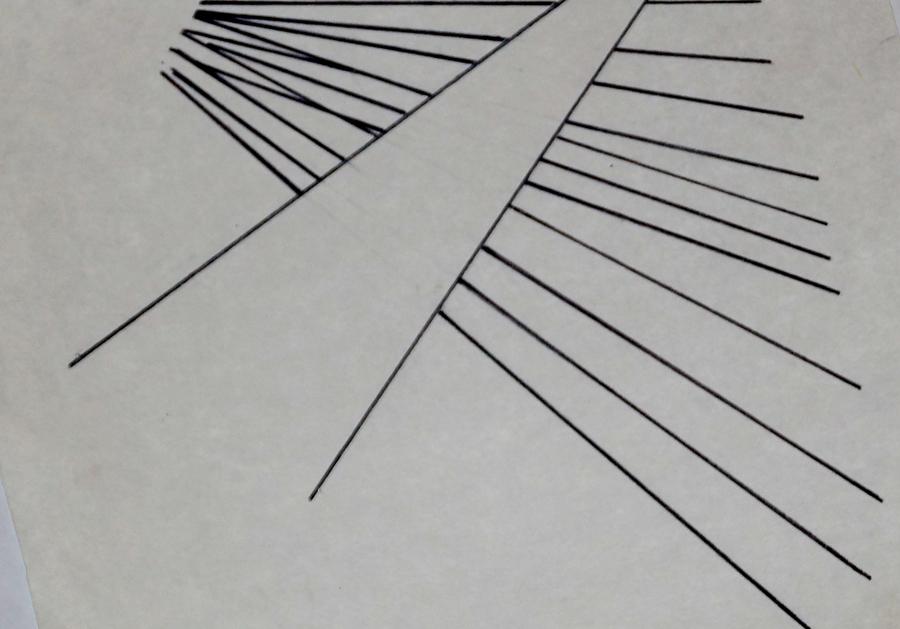 Lines Drawing by Erika Jean Chamberlin