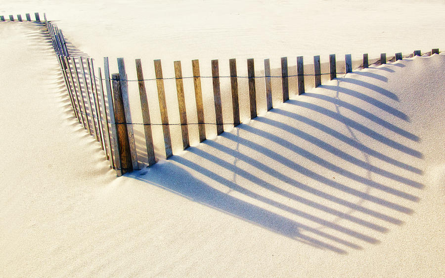 Beach Photograph - Lines in the Sand by Carolyn Derstine
