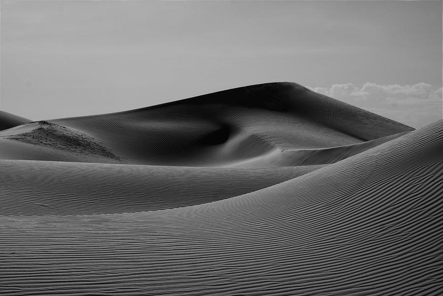 Lines in the Sand Photograph by Munir El Kadi - Fine Art America